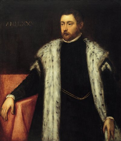 Fünfundzwanzigjähriger Jugendlicher mit Pelzbesetztem Mantel von Jacopo Robusti Tintoretto